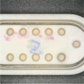 Alumina Oxide Hi-efficiency Tapping Processing